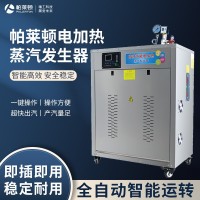 帕莱顿电加热108kw蒸汽发生器