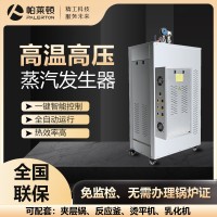 帕莱顿电加热（24kw-36kw）蒸汽发生器