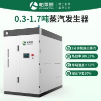 全自动工业燃气0.5吨蒸汽发生器