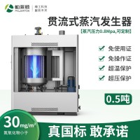 燃气蒸汽发生器贯流式天然气锅炉工业免办证1T液 化气蒸发器